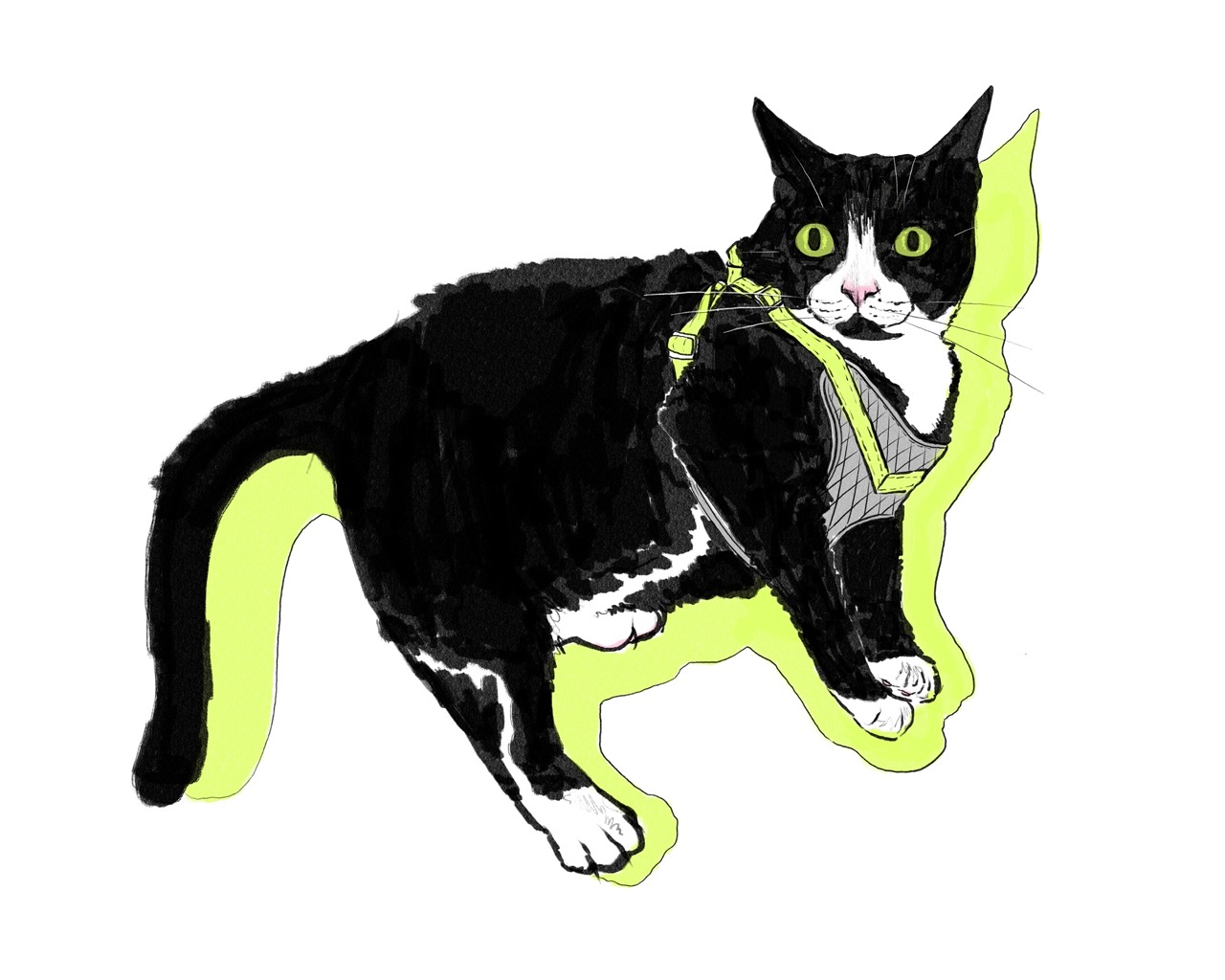 Digital #5